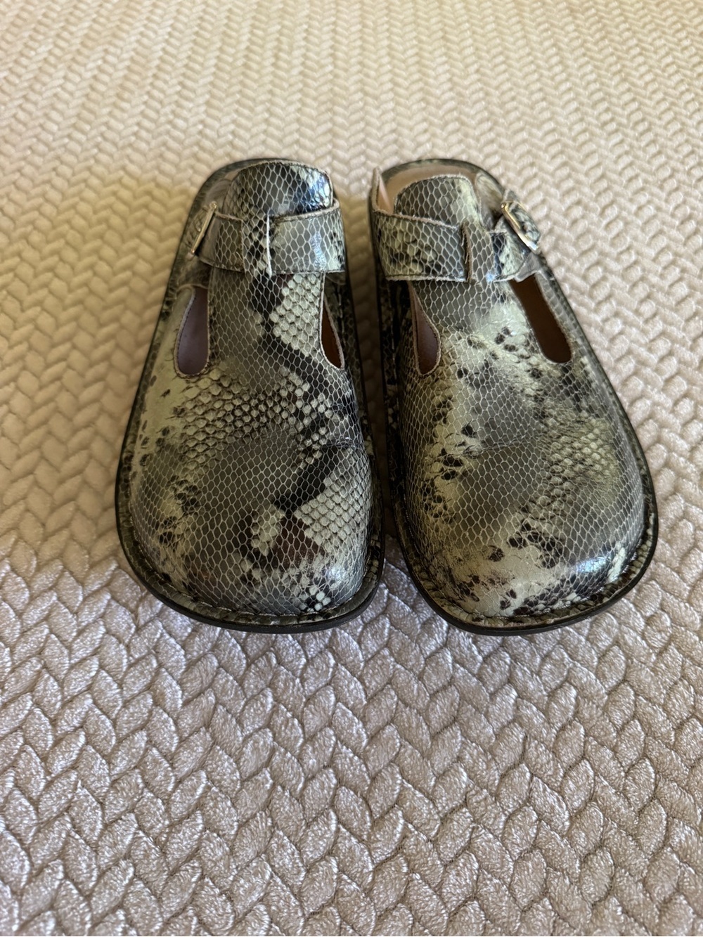 Alegria Snake-Print Mules in Green and Black Size 40